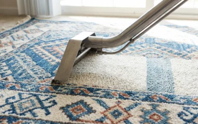 Guide complet d’entretien de tapis : fréquence, méthodes et conseils professionnels pour un tapis toujours impeccable